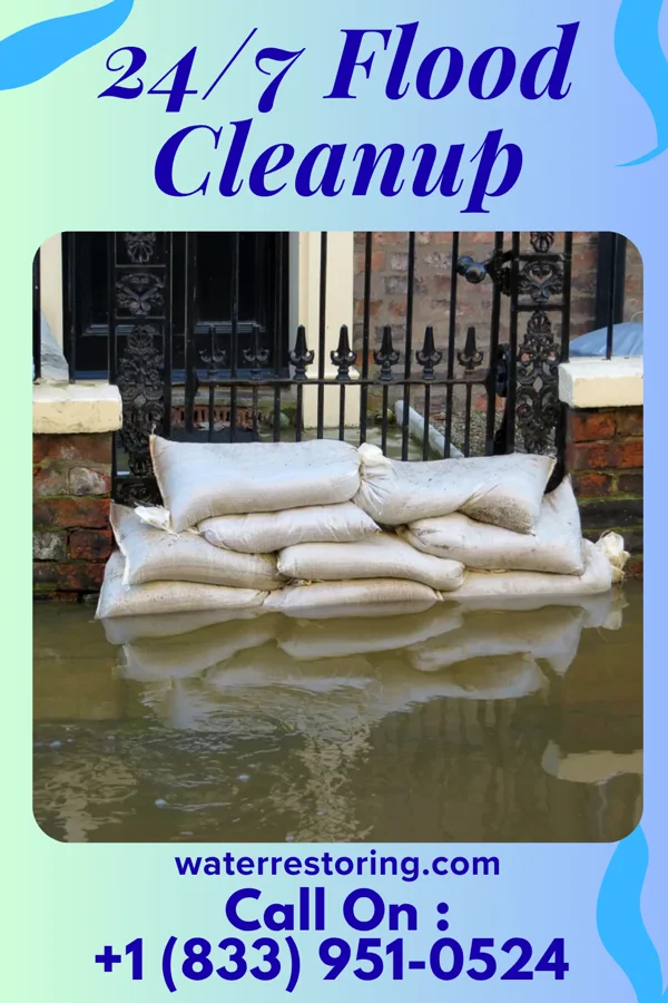 24/7 Flood Cleanup in Barwick, GA