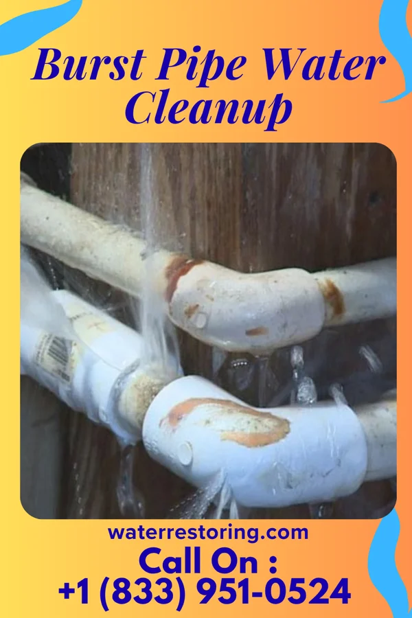 Burst Pipe Water Cleanup in Barwick, GA