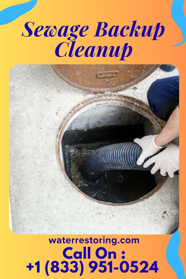 Sewage Backup Cleanup in Barwick, GA